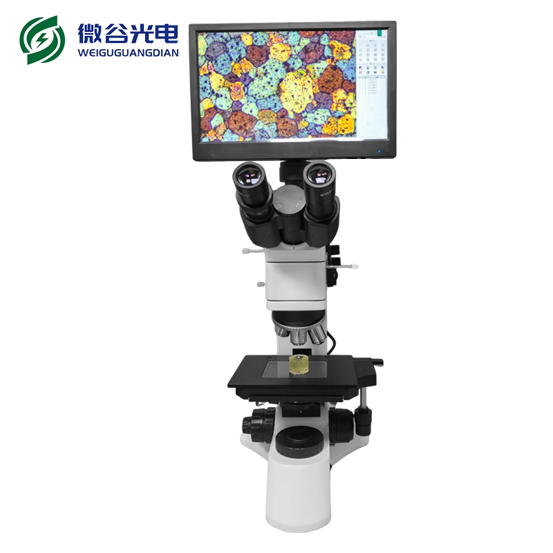 高倍顯微鏡觀看粉未的效果