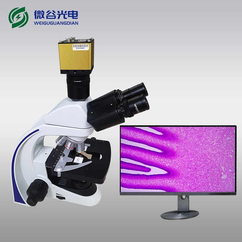 生物光學顯微鏡的使用及維護