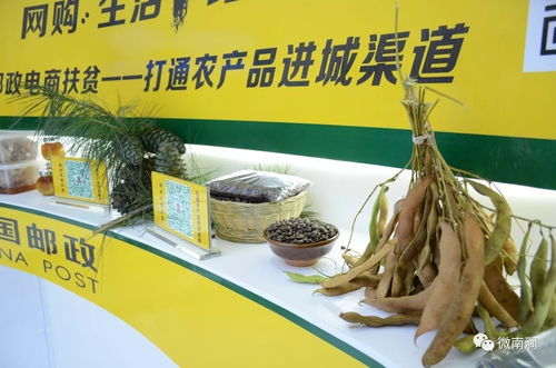 電商助農(nóng) 南澗農(nóng)特產(chǎn)品迎來(lái)電子商務(wù)黃金時(shí)代